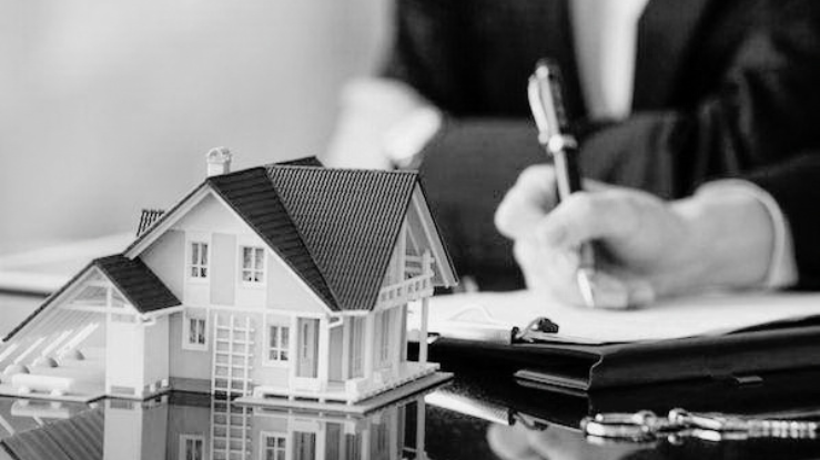 Property & Real Estate